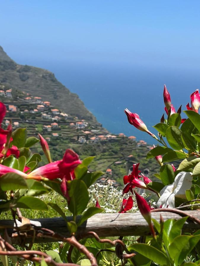 Tropical House Villa Ribeira Brava Bagian luar foto