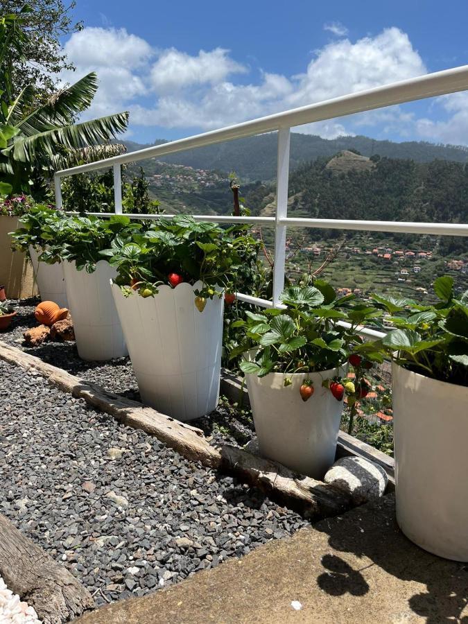 Tropical House Villa Ribeira Brava Bagian luar foto