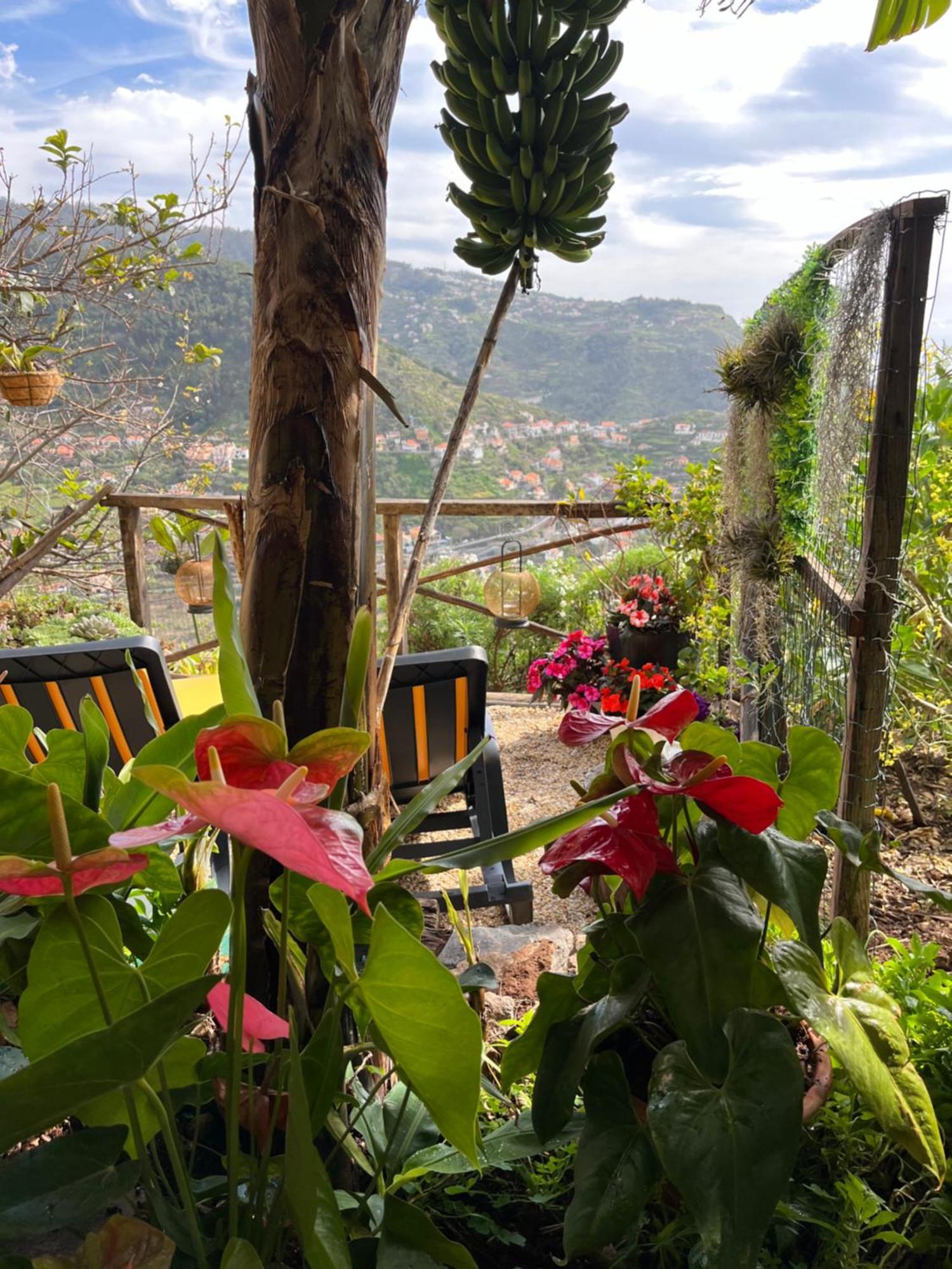 Tropical House Villa Ribeira Brava Bagian luar foto