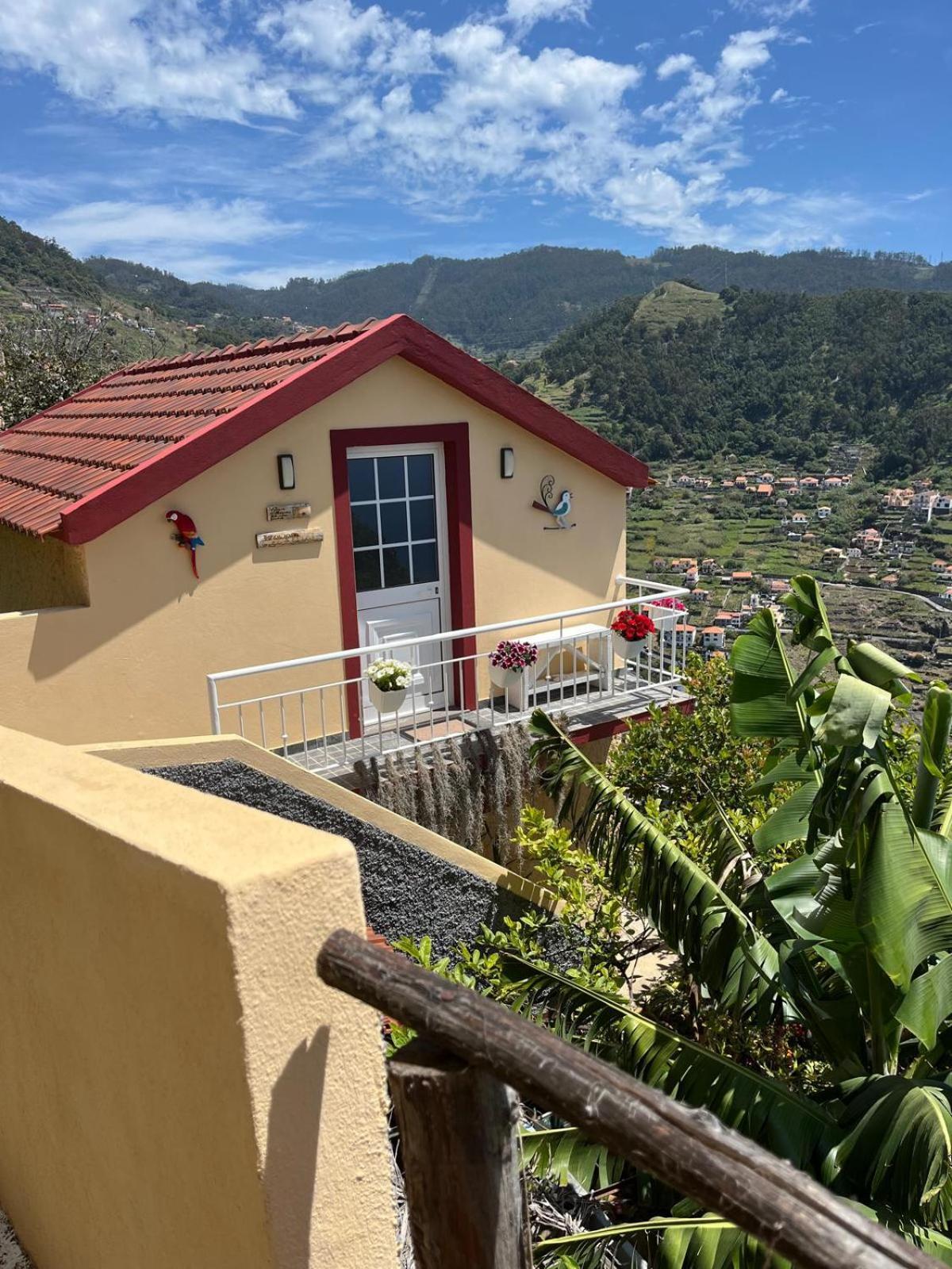 Tropical House Villa Ribeira Brava Bagian luar foto