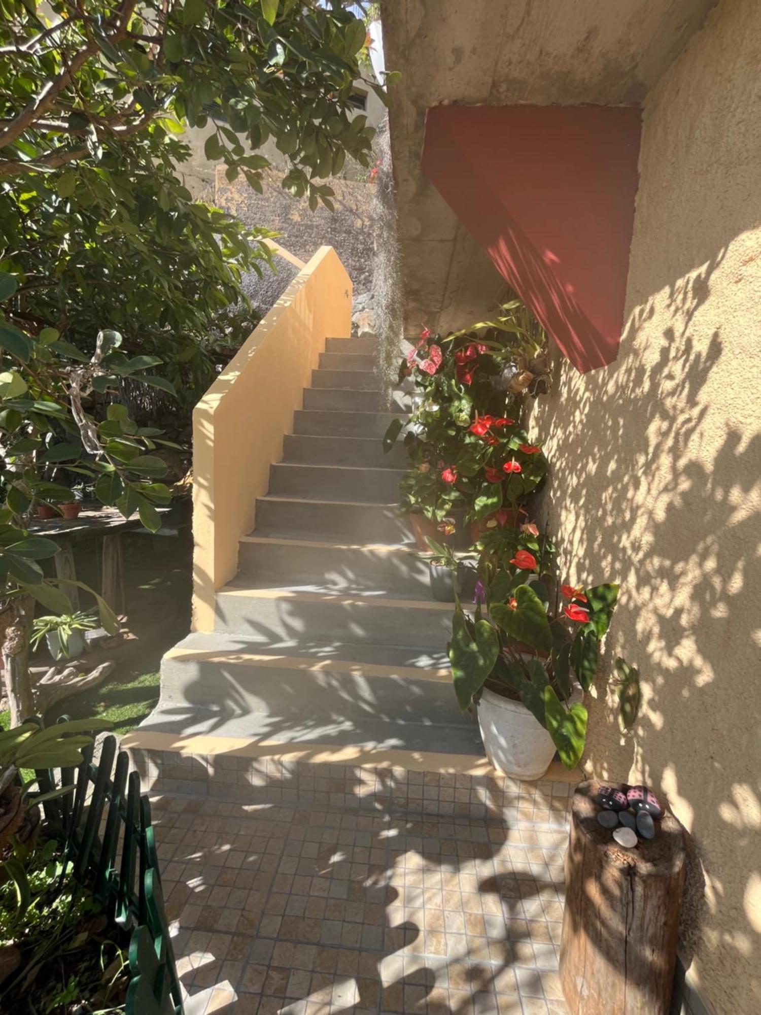 Tropical House Villa Ribeira Brava Bagian luar foto