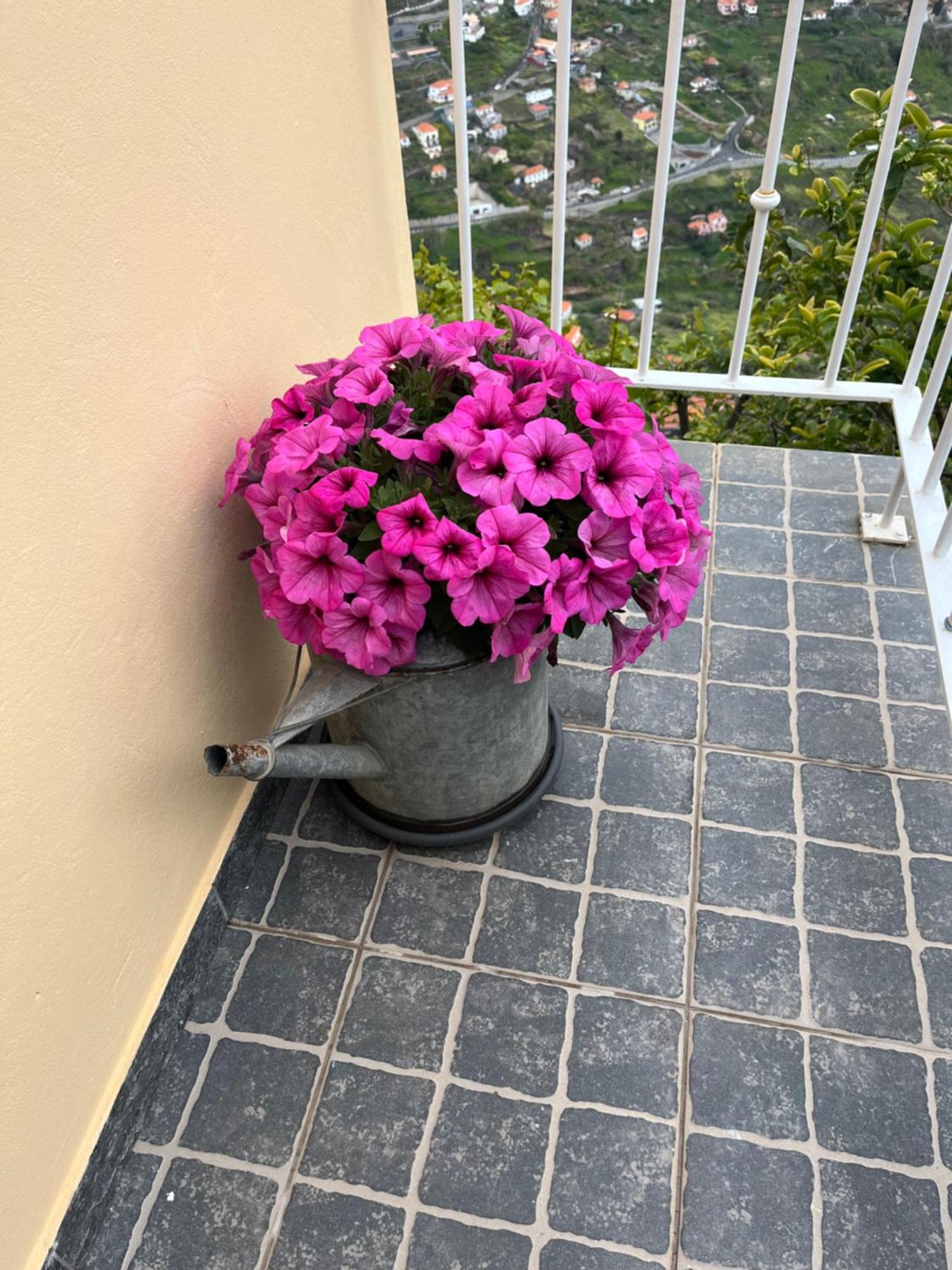 Tropical House Villa Ribeira Brava Bagian luar foto